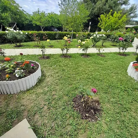 Artemis & * Sidárion